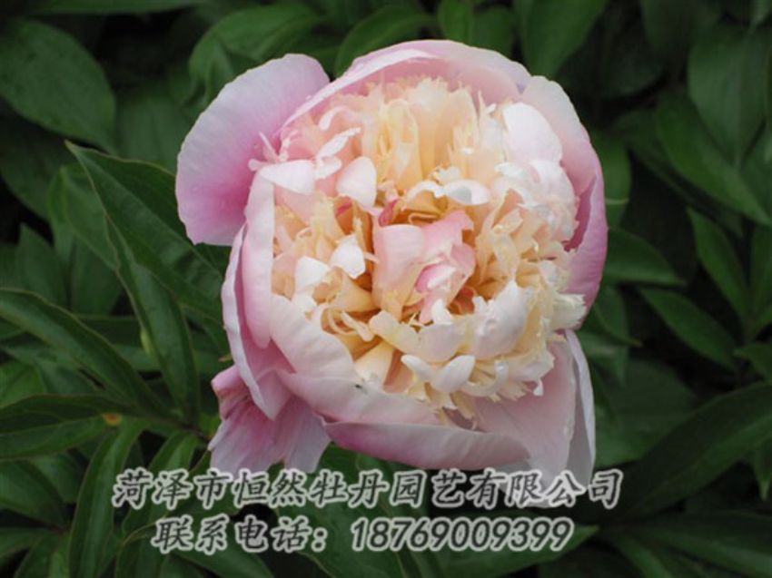 點擊查看詳細信息<br>標題：湖光山色 閱讀次數(shù)：1369