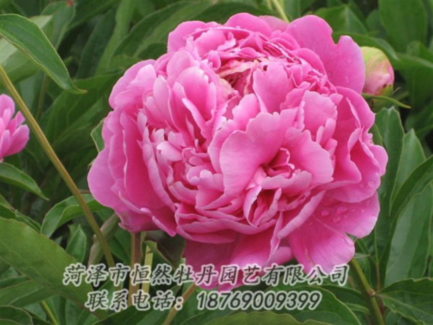 點(diǎn)擊查看詳細(xì)信息<br>標(biāo)題：月照山河 閱讀次數(shù)：1118